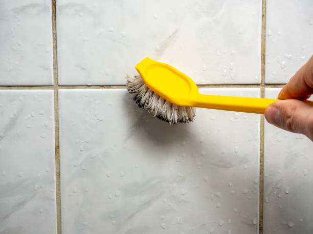 Best Professional Mold Removal  in Mantachie, MS